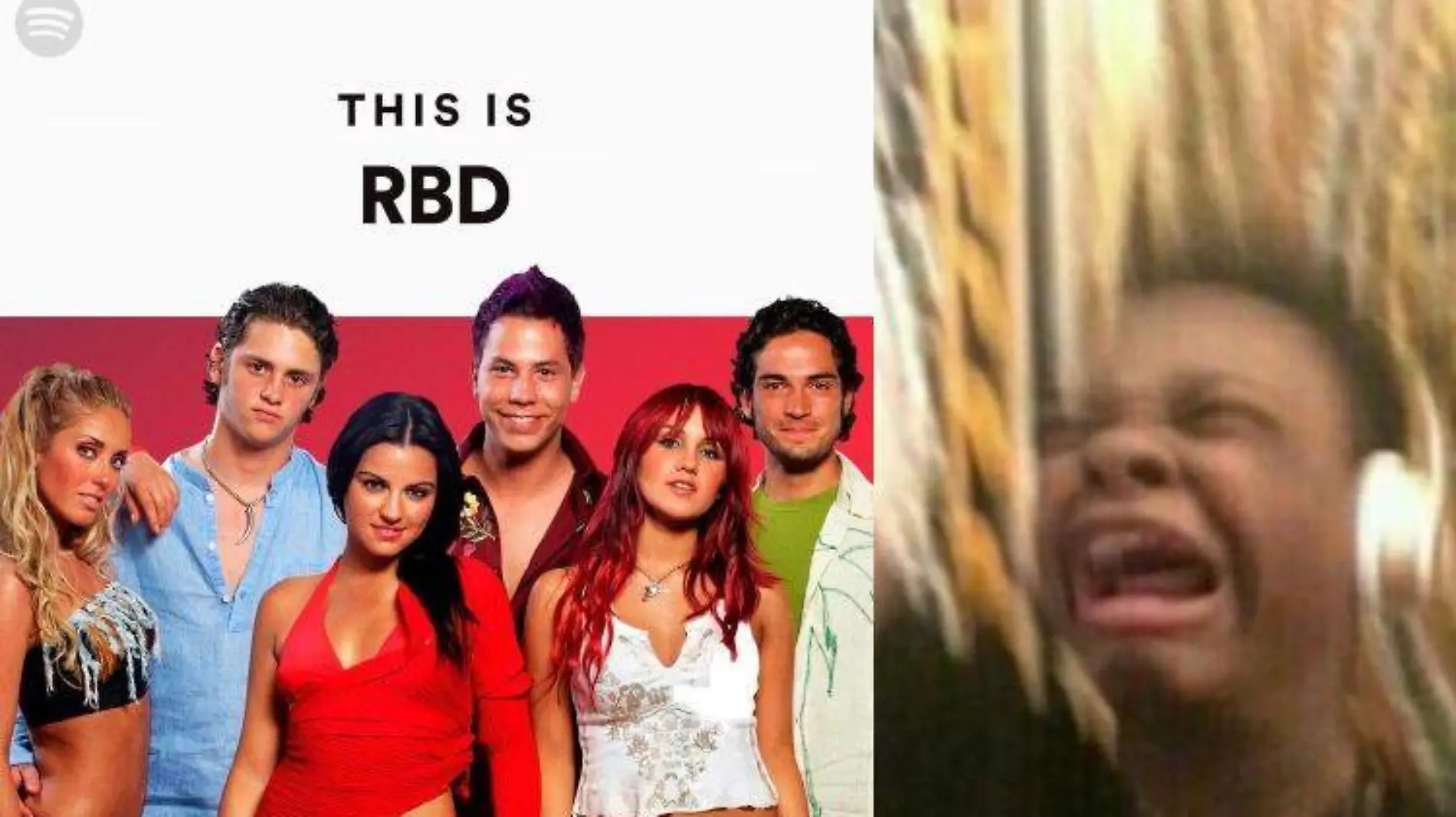 rbd is back rebelde spotify